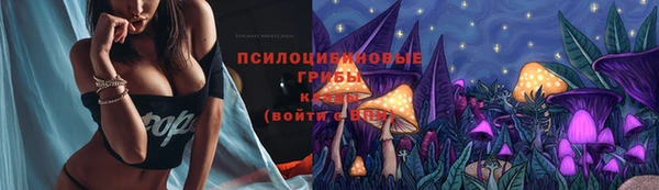 а пвп мука Горно-Алтайск