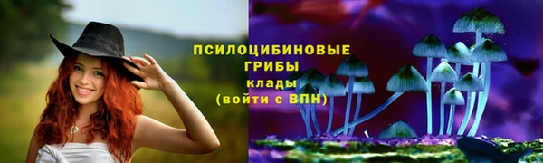 прущая мука Горняк
