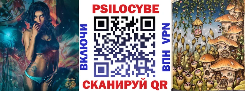 закладка  Енисейск  Галлюциногенные грибы Psilocybe 